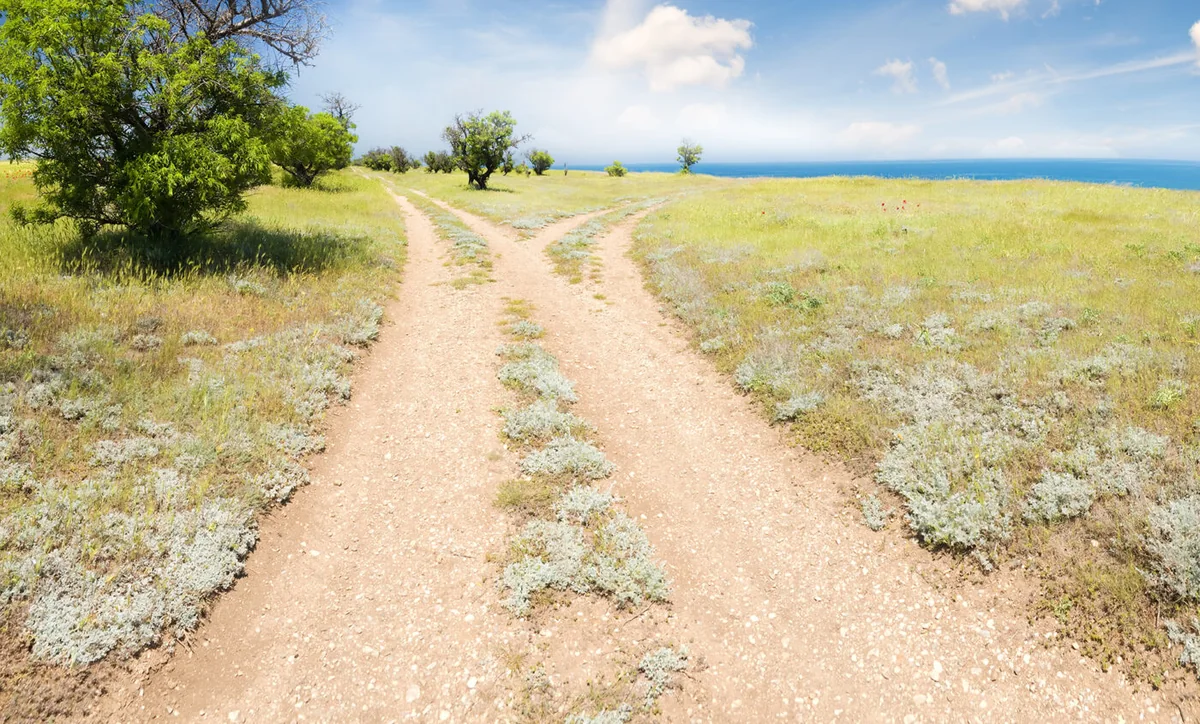 Outsourcing for Nonprofits: 7 Signs It's Time to Scale Your Mission