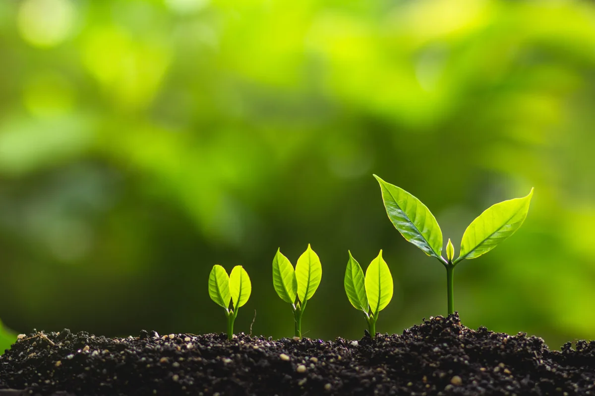 Principal Gift Program Design and Execution, Part 1: Building a Robust Principal Gift Fundraising Engine