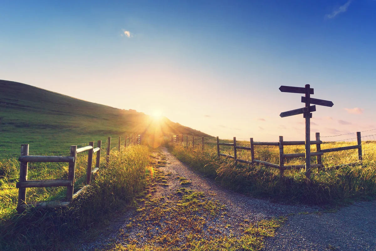 Rethinking the CDO Search: Setting Your Nonprofit Up for Long-Term Success