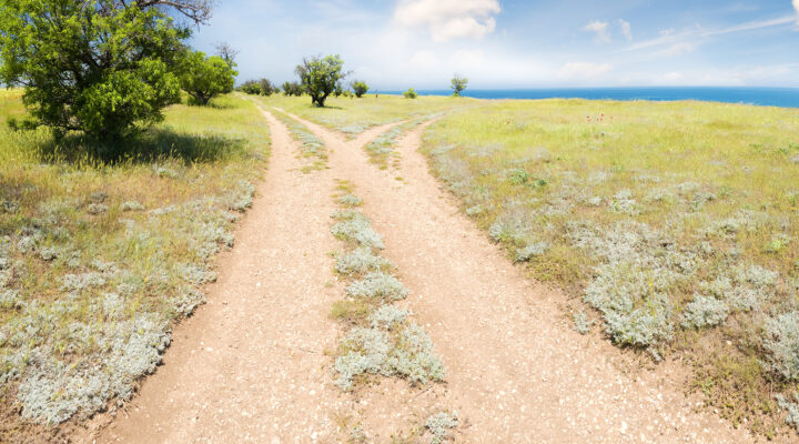 Forked road horizon with grass and blue sky.