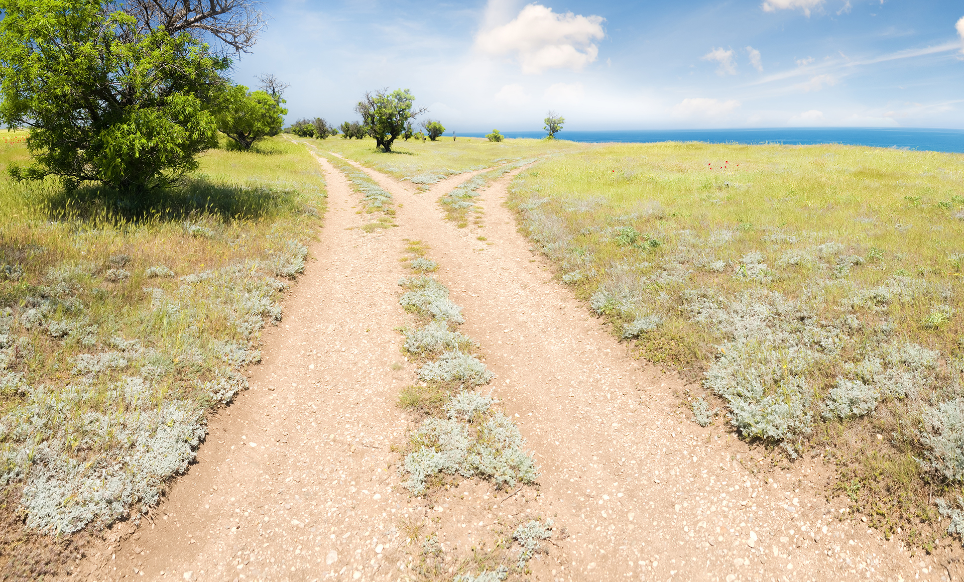 Forked road horizon with grass and blue sky.