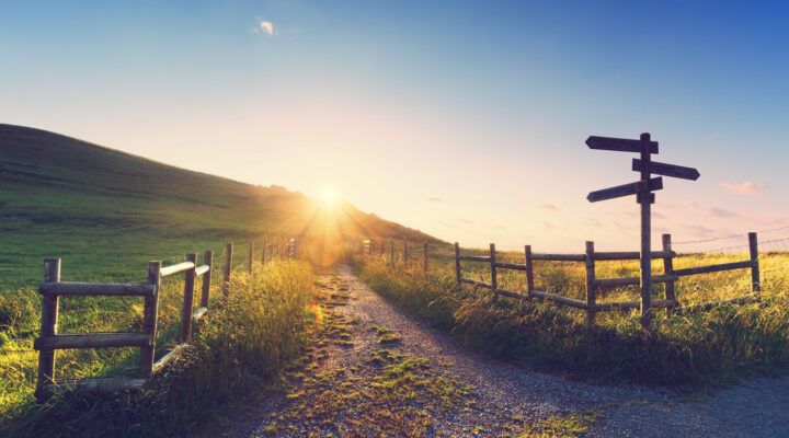 Wooden signpost near a path and sun rays.