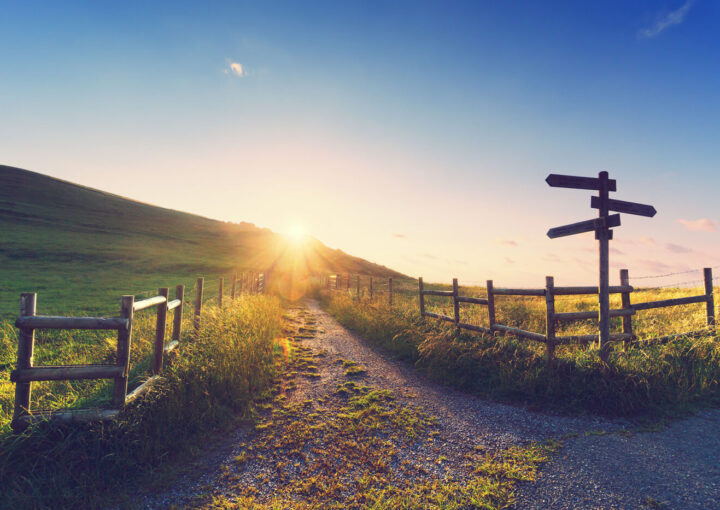 Wooden signpost near a path and sun rays.